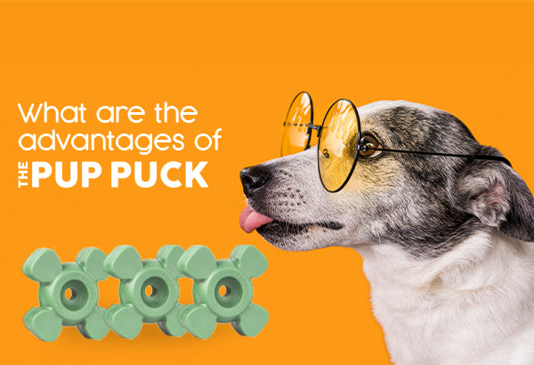 Everything You Need to Know About the Advantages of Pup Puck