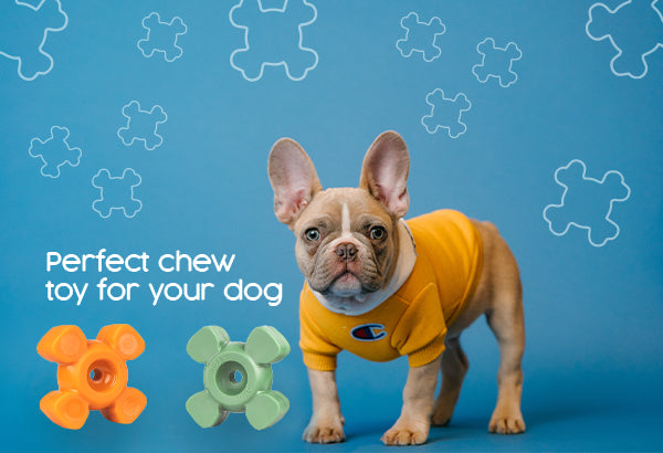 Selecting the Perfect Chew Toy for Your Dog: The Ultimate Guide
