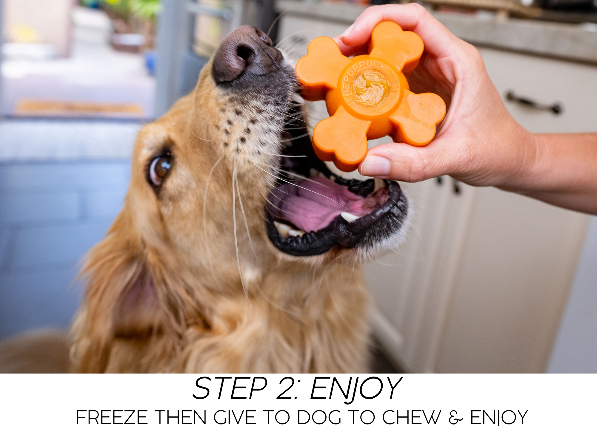 Freezer toys for clearance puppies