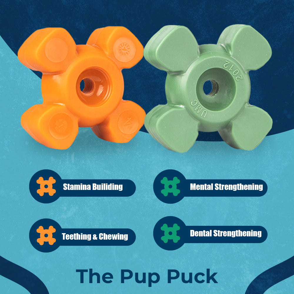Pooch Patrol 🐶 Dog Toys & Treats for Anxious Dogs