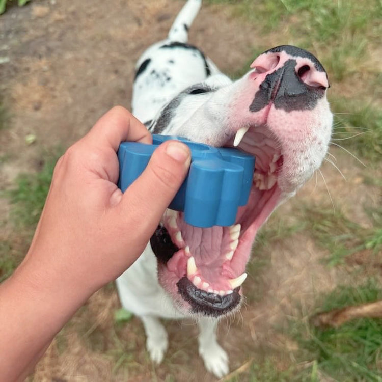 The Pup Puck - Power Chewer Kit
