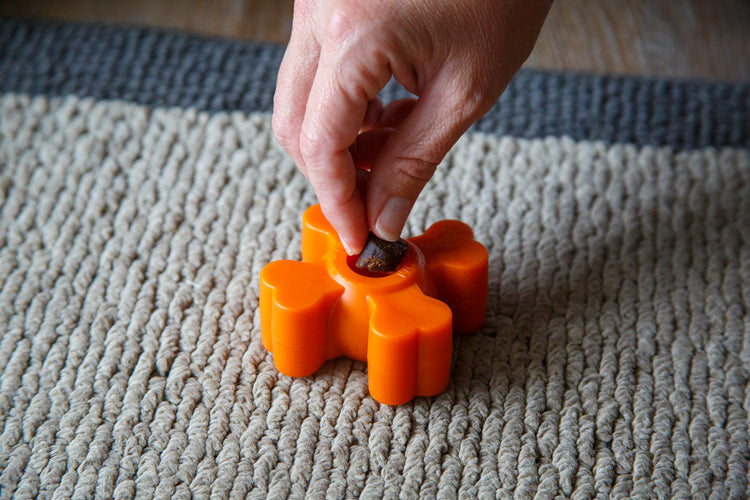 The Pup Puck - Power Chewer Kit