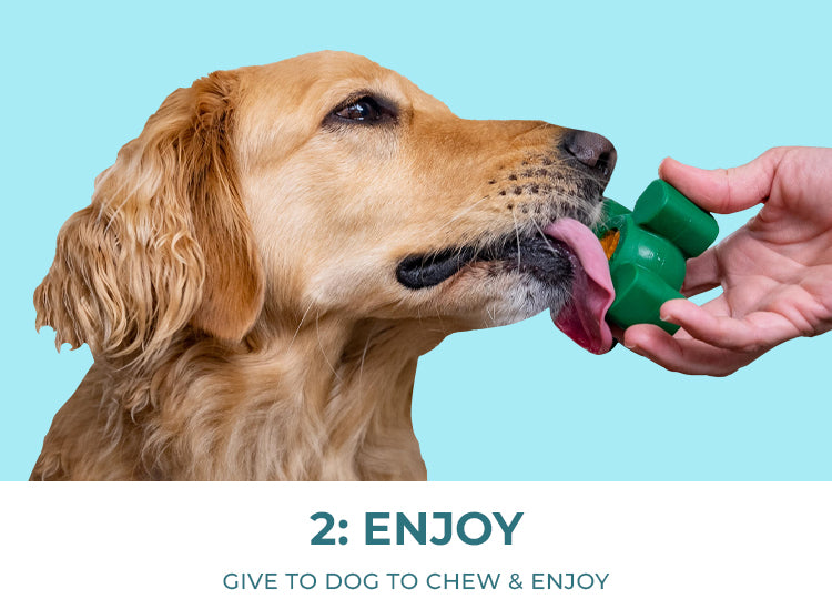 The Pup Puck OG Style 2-Pack Chew Toys for Aggressive Chewers in Green & Orange: Long-lasting & Stuffable Chew Toys for Dogs of All Breeds & Sizes