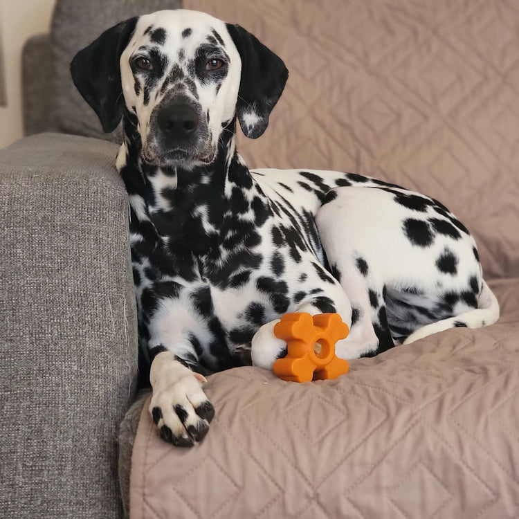 The Pup Puck - Power Chewer Kit