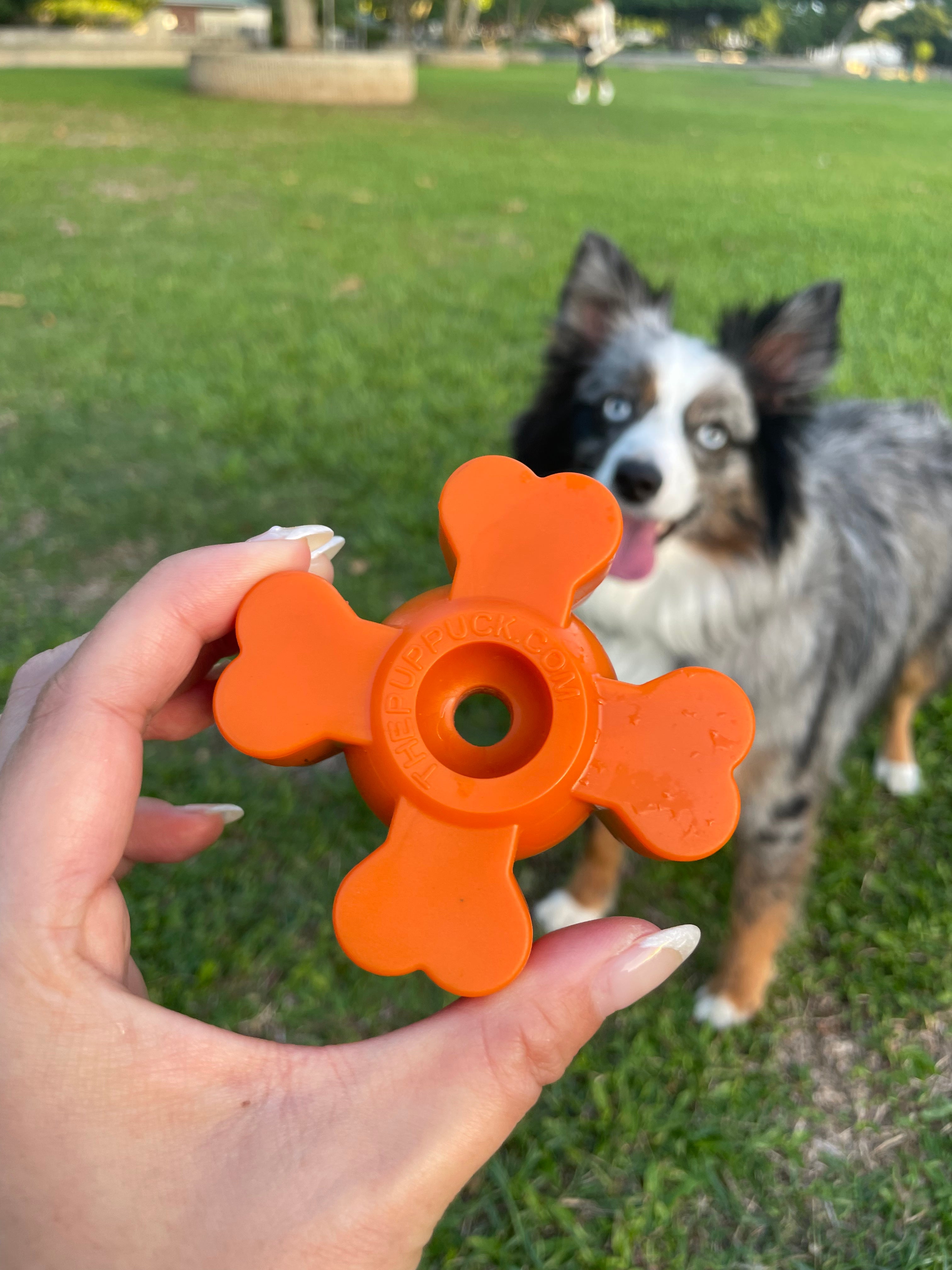 The Pup Puck