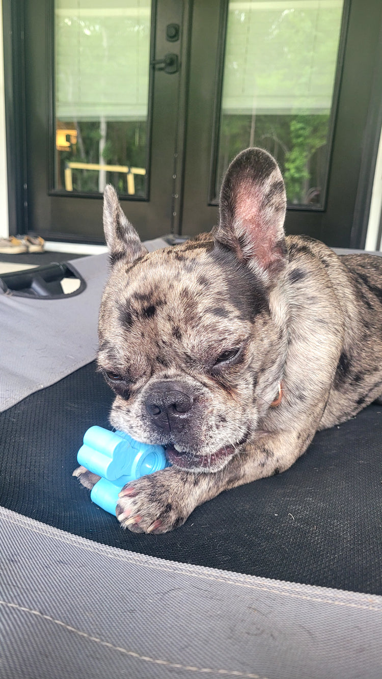 The Pup Puck - Power Chewer Kit