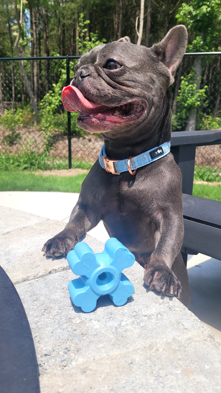 The Pup Puck - Power Chewer Kit