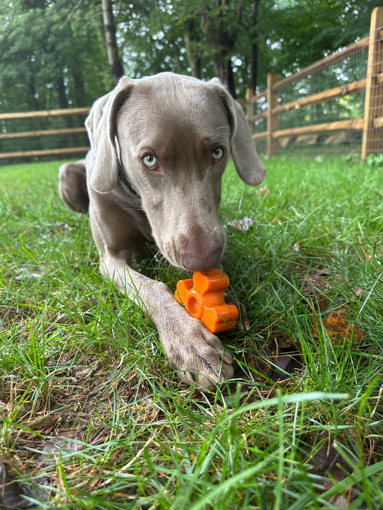 The Pup Puck - Power Chewer Kit